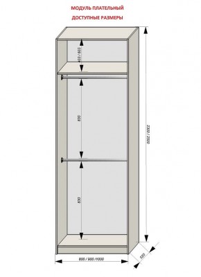 Шкаф распашной серия «ЗЕВС» (PL3/С1/PL2) в Белоярском - beloyarskiy.mebel24.online | фото 12