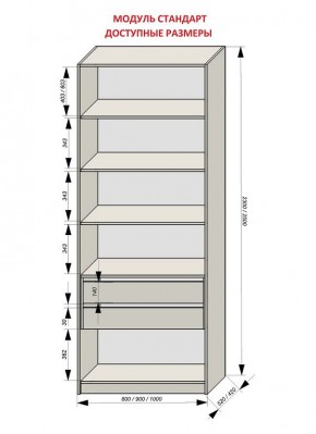 Шкаф распашной серия «ЗЕВС» (PL3/С1/PL2) в Белоярском - beloyarskiy.mebel24.online | фото 13