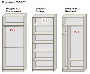 Шкаф распашной серия «ЗЕВС» (PL3/С1/PL2) в Белоярском - beloyarskiy.mebel24.online | фото 2