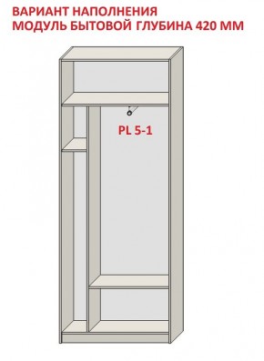 Шкаф распашной серия «ЗЕВС» (PL3/С1/PL2) в Белоярском - beloyarskiy.mebel24.online | фото 4