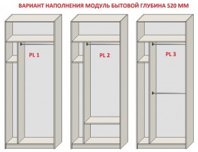 Шкаф распашной серия «ЗЕВС» (PL3/С1/PL2) в Белоярском - beloyarskiy.mebel24.online | фото 5