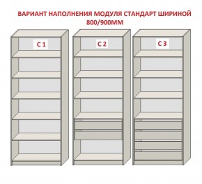 Шкаф распашной серия «ЗЕВС» (PL3/С1/PL2) в Белоярском - beloyarskiy.mebel24.online | фото 6