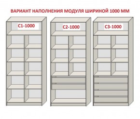 Шкаф распашной серия «ЗЕВС» (PL3/С1/PL2) в Белоярском - beloyarskiy.mebel24.online | фото 7