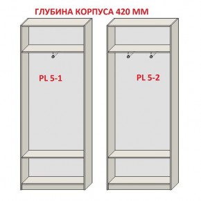 Шкаф распашной серия «ЗЕВС» (PL3/С1/PL2) в Белоярском - beloyarskiy.mebel24.online | фото 8