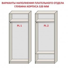 Шкаф распашной серия «ЗЕВС» (PL3/С1/PL2) в Белоярском - beloyarskiy.mebel24.online | фото 9