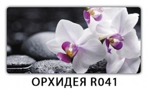 Стол Бриз с фотопечатью Цветы R044 в Белоярском - beloyarskiy.mebel24.online | фото 10