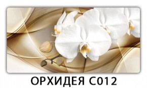 Стол раздвижной Трилогия с фотопечатью Доска D111 в Белоярском - beloyarskiy.mebel24.online | фото 13