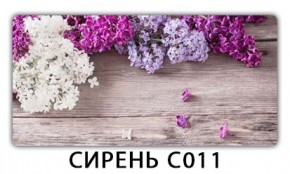 Стол раздвижной Трилогия с фотопечатью Орхидея C012 в Белоярском - beloyarskiy.mebel24.online | фото 16