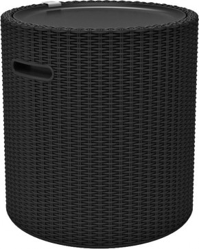Столик-холодильник Кул-Стул (Cool stool) графит в Белоярском - beloyarskiy.mebel24.online | фото 2