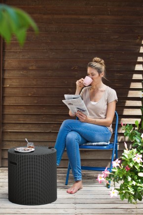 Столик-холодильник Кул-Стул (Cool stool) коричневый в Белоярском - beloyarskiy.mebel24.online | фото 2