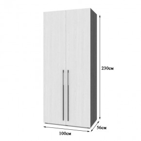 СТОУН С22 Шкаф 2-х створчатый с ящиками (серый дуб/белый) в Белоярском - beloyarskiy.mebel24.online | фото 2