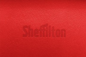Стул SHT-ST29/S100 в Белоярском - beloyarskiy.mebel24.online | фото 3