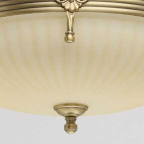 Светильник на штанге MW-Light Афродита 1 317011504 в Белоярском - beloyarskiy.mebel24.online | фото 4
