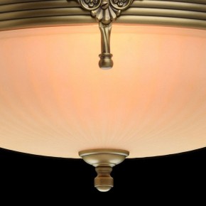 Светильник на штанге MW-Light Афродита 1 317011504 в Белоярском - beloyarskiy.mebel24.online | фото 5