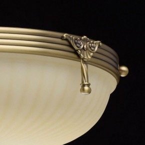 Светильник на штанге MW-Light Афродита 1 317011504 в Белоярском - beloyarskiy.mebel24.online | фото 8