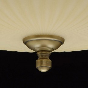 Светильник на штанге MW-Light Афродита 1 317011504 в Белоярском - beloyarskiy.mebel24.online | фото 9