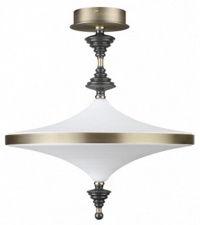 Светильник на штанге Odeon Light Ula 5404/43CL в Белоярском - beloyarskiy.mebel24.online | фото