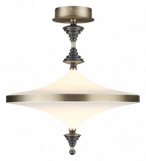 Светильник на штанге Odeon Light Ula 5404/43CL в Белоярском - beloyarskiy.mebel24.online | фото 2