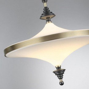 Светильник на штанге Odeon Light Ula 5404/43CL в Белоярском - beloyarskiy.mebel24.online | фото 6