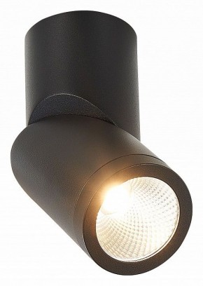 Светильник на штанге ST-Luce ST650 ST650.442.10 в Белоярском - beloyarskiy.mebel24.online | фото 2