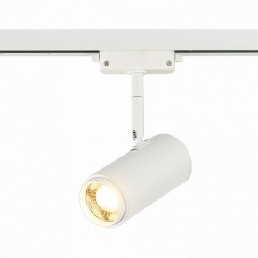 Светильник на штанге ST-Luce Zoom ST600.536.12 в Белоярском - beloyarskiy.mebel24.online | фото 2