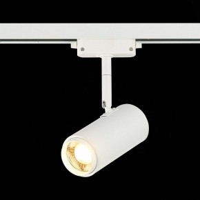 Светильник на штанге ST-Luce Zoom ST600.536.12 в Белоярском - beloyarskiy.mebel24.online | фото 4