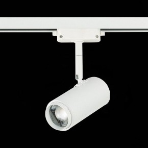 Светильник на штанге ST-Luce Zoom ST600.536.12 в Белоярском - beloyarskiy.mebel24.online | фото 5