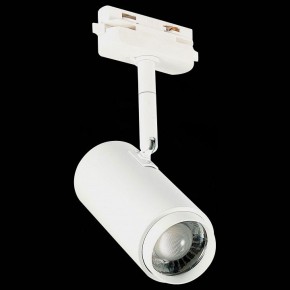 Светильник на штанге ST-Luce Zoom ST600.536.12 в Белоярском - beloyarskiy.mebel24.online | фото 6