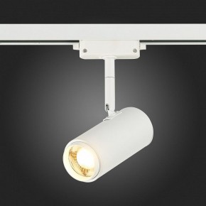 Светильник на штанге ST-Luce Zoom ST600.536.12 в Белоярском - beloyarskiy.mebel24.online | фото 7