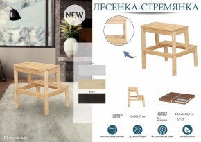Табурет Стремянка в Белоярском - beloyarskiy.mebel24.online | фото 4