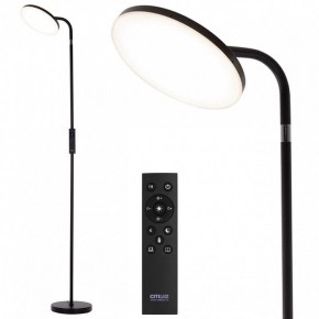 Торшер Citilux SOLO CL804061 в Белоярском - beloyarskiy.mebel24.online | фото 2