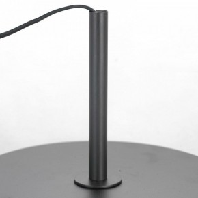 Торшер Lussole  LSP-0590 в Белоярском - beloyarskiy.mebel24.online | фото 3