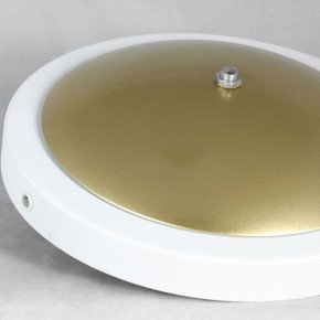 Торшер Lussole LSP-062 LSP-0625 в Белоярском - beloyarskiy.mebel24.online | фото 2