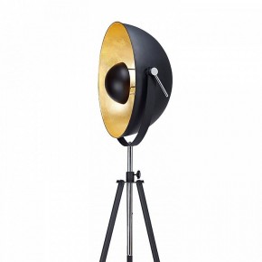 Торшер Lussole Sherrelwood LSP-9824 в Белоярском - beloyarskiy.mebel24.online | фото 2
