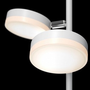 Торшер Maytoni Fad MOD070FL-L12W3K в Белоярском - beloyarskiy.mebel24.online | фото 5