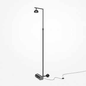 Торшер Maytoni Pikant MOD372FL-L10B3K в Белоярском - beloyarskiy.mebel24.online | фото 2