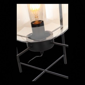 Торшер ST-Luce Burasca SL1050.505.01 в Белоярском - beloyarskiy.mebel24.online | фото 9