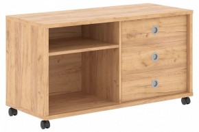 Тумба комбинированная Born B 202A в Белоярском - beloyarskiy.mebel24.online | фото