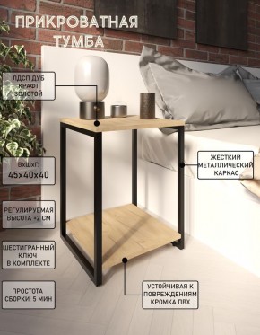 Тумба прикроватная "Лофт" (Лф.Т-2) в Белоярском - beloyarskiy.mebel24.online | фото 4