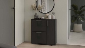 Тумбочка для обуви Тип 15 в Белоярском - beloyarskiy.mebel24.online | фото 5