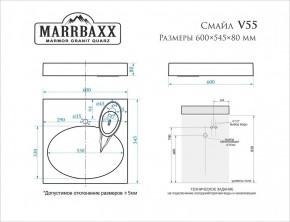 Умывальник над стиральной машиной (600*545*80) Смайл V55D1 (белый) с кронштейном без сифона (V55D1) в Белоярском - beloyarskiy.mebel24.online | фото 2