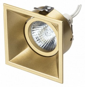 Встраиваемый светильник Lightstar Domino 214503 в Белоярском - beloyarskiy.mebel24.online | фото 2